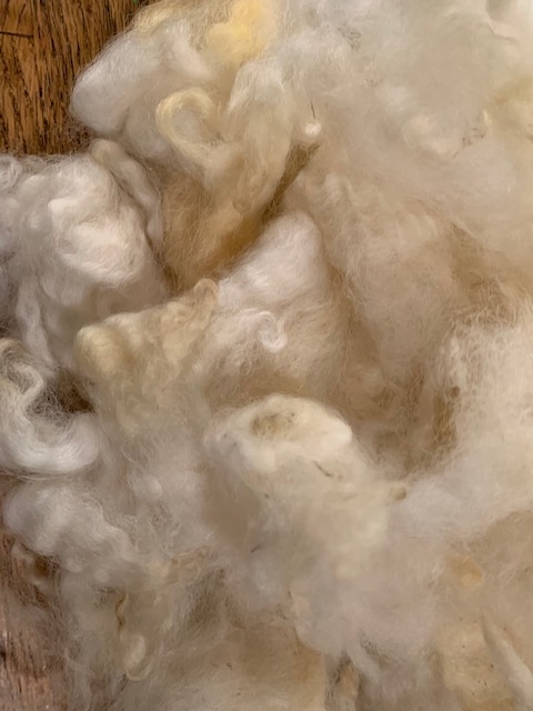 Washed Coopworth fleece, white