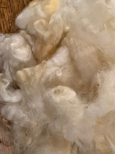 Washed Coopworth fleece, white picture