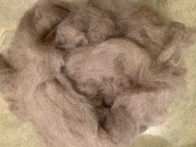 Coopworth roving, light grey