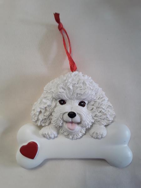 Bichon  (click to see variants) picture