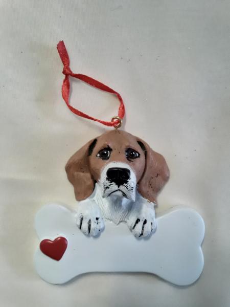 Beagle picture