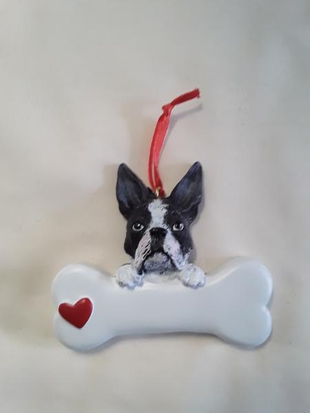 Boston Terrier  (click to see variants) picture