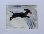 Large Jumping Dachshund