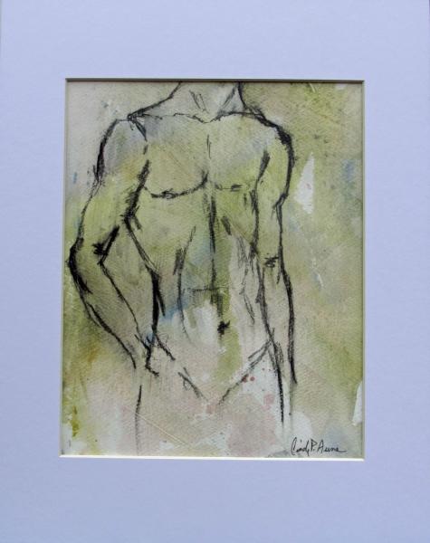 Male Torso picture