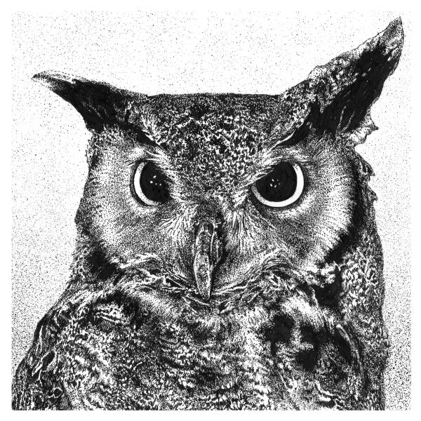 'Great Horned Owl' Reproduction picture