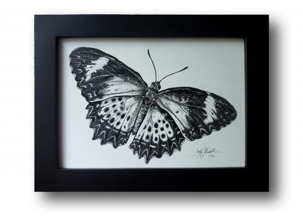 'Leopard Lacewing'  Ink Drawing