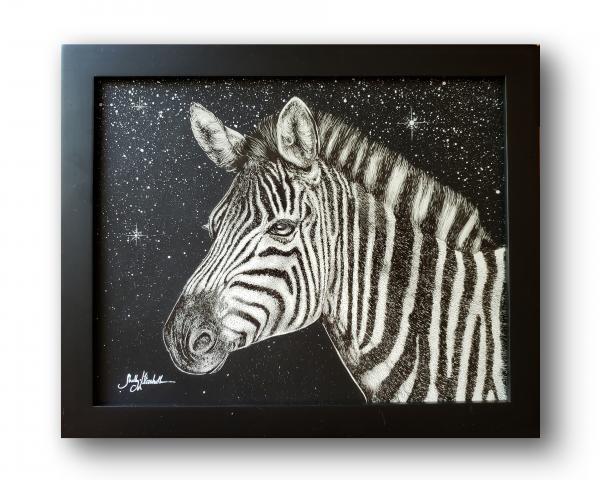 'Zebra' Ink Drawing picture