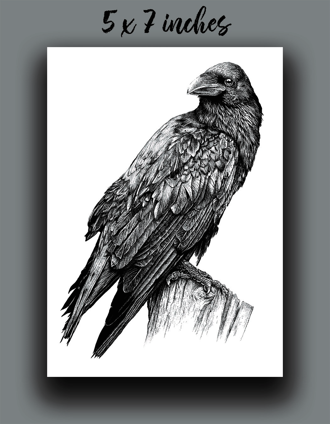 'Raven' Reproduction picture