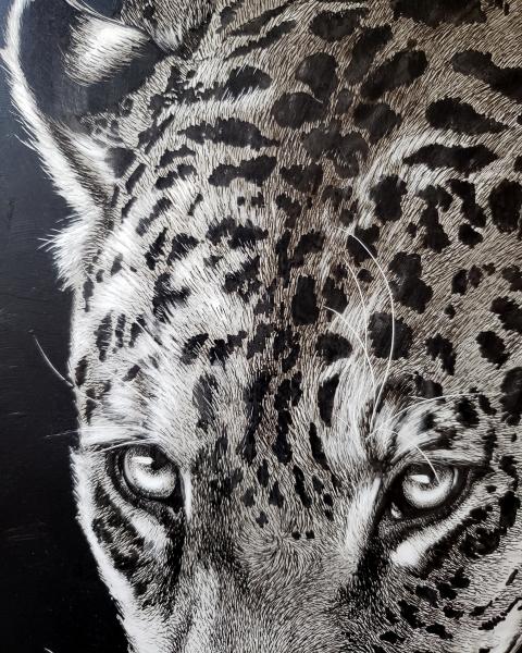 'Jaguar' Ink Drawing picture