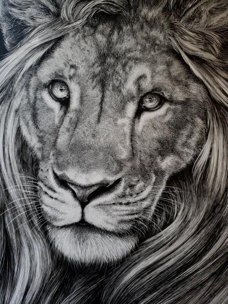 'Leo' Ink Drawing picture