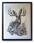 'Jackalope' Ink Drawing