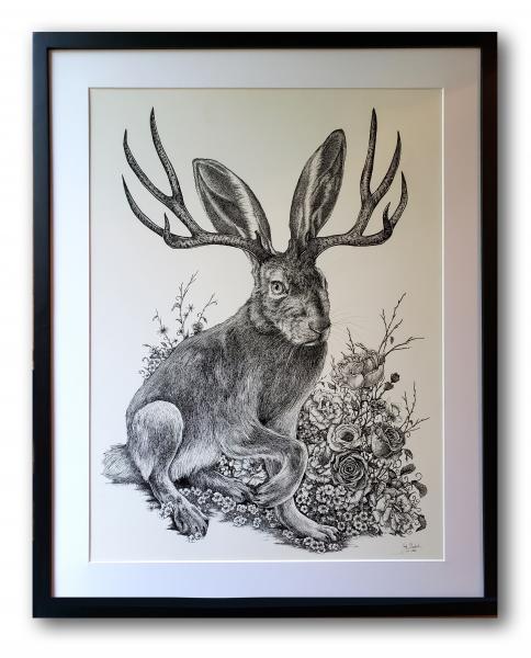 'Jackalope' Ink Drawing picture