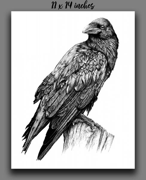 'Raven' Reproduction picture