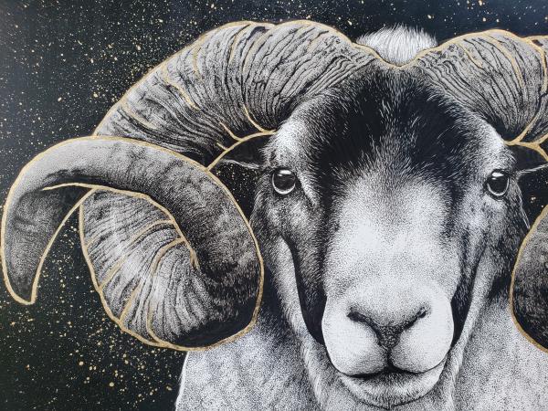 'Aries' Ink Drawing + Gold-Leaf picture