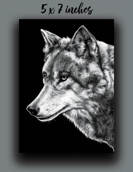 'Grey Wolf' Reproduction picture