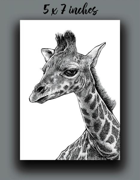 'Giraffe' Reproduction picture