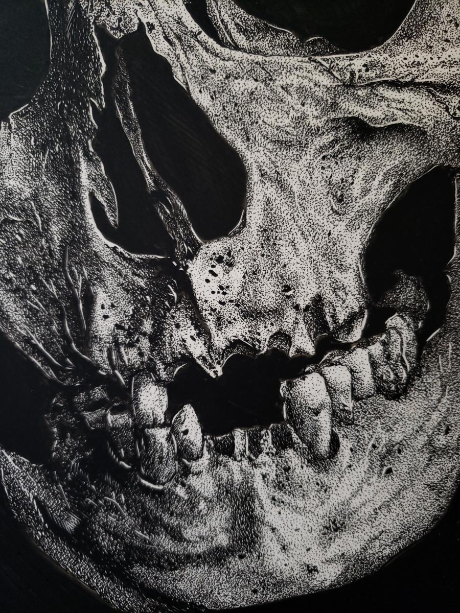 'Skull No. 3' Ink Drawing picture