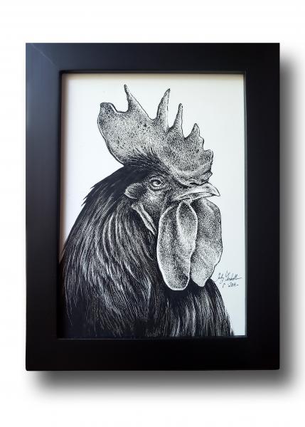 'Rooster'  Ink Drawing picture