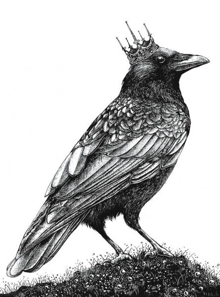 'King Crow' Reproduction picture