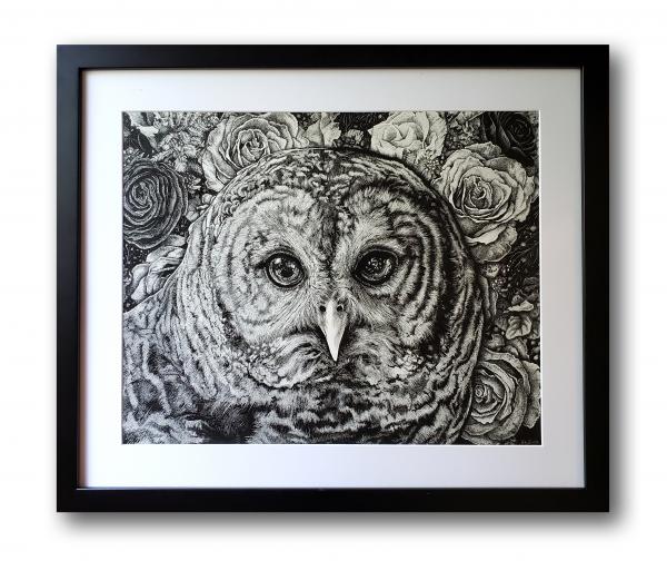 'Hoot Owl' Ink Drawing