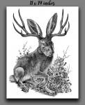 'Jackalope' Reproduction