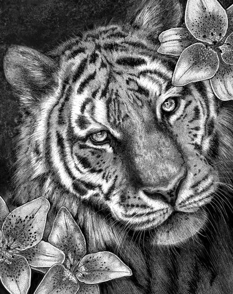 'Tiger in Lilies' Reproduction picture