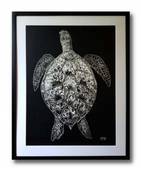 'Sea Turtle' Ink Drawing picture