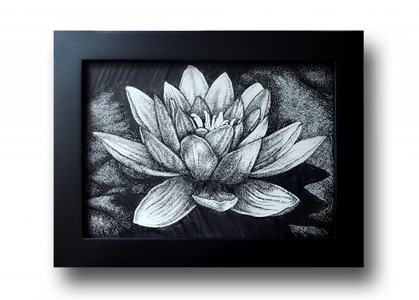 'Lotus Flower'  Ink Drawing picture