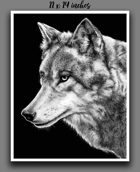 'Grey Wolf' Reproduction picture