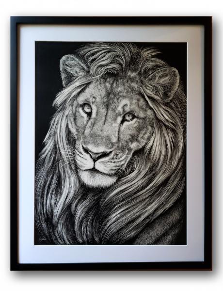'Leo' Ink Drawing