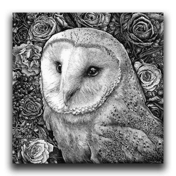 'Barn Owl in Flowers' Ink Drawing