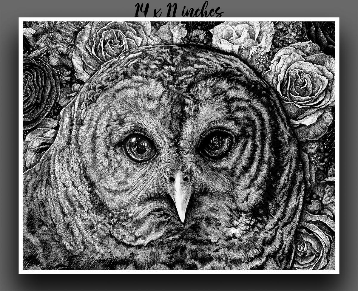 'Hoot Owl' Reproduction picture