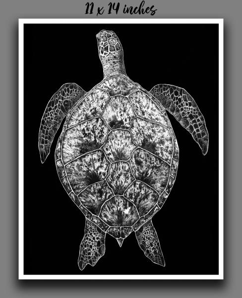 'Sea Turtle' Reproduction picture