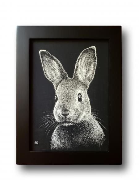 'Bunny'  Ink Drawing