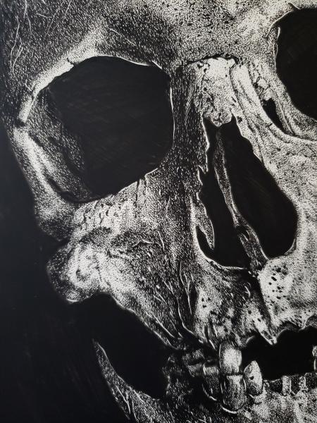 'Skull No. 3' Ink Drawing picture