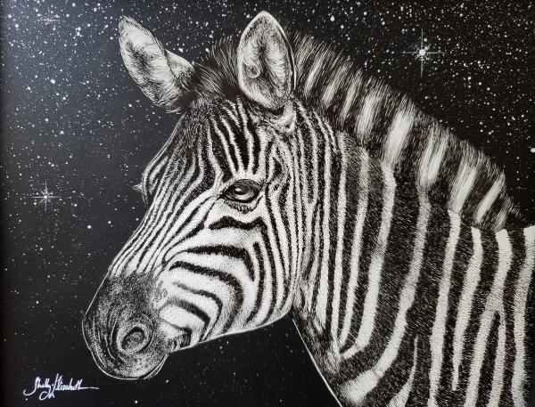 'Zebra' Ink Drawing picture