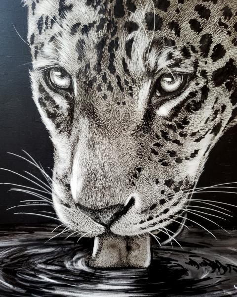 'Jaguar' Ink Drawing picture