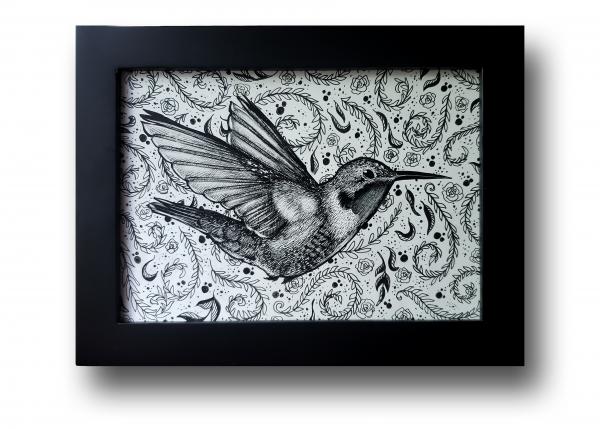 'Hummingbird' Ink Drawing picture