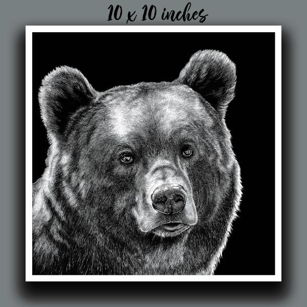 'Brown Bear' Reproduction picture