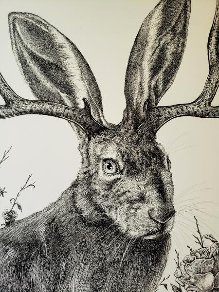 'Jackalope' Reproduction picture