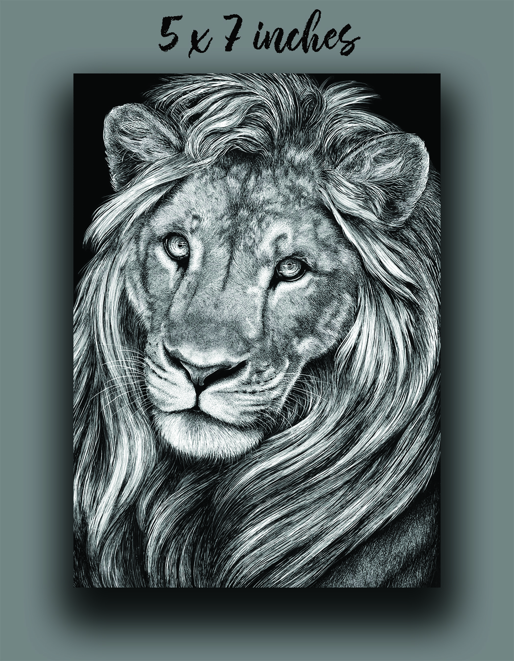 'Leo' Reproduction picture