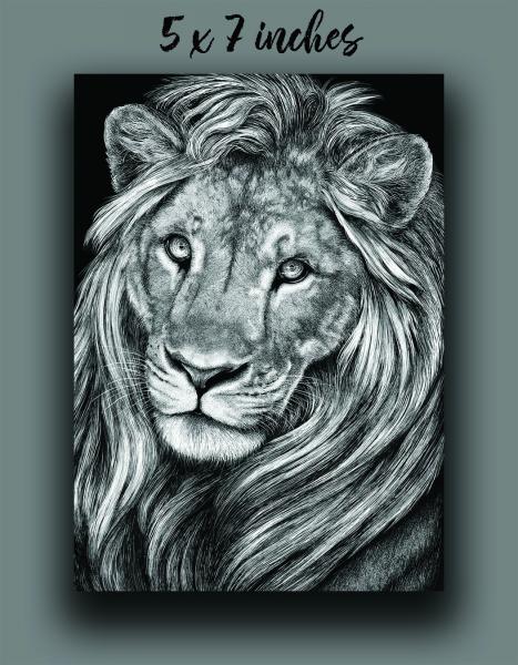 'Leo' Reproduction picture