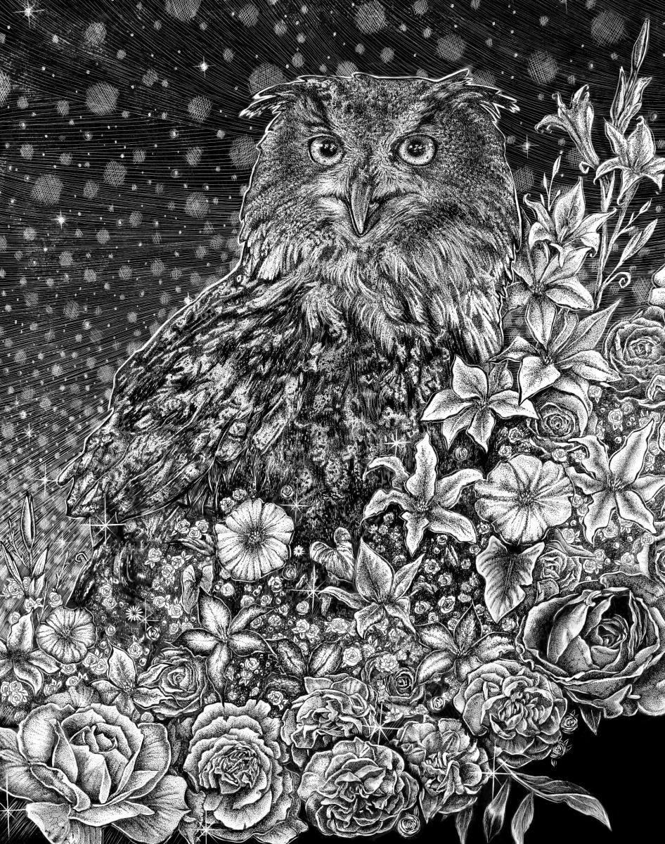'Eagle Owl' Ink Drawing picture
