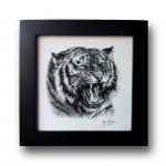 'Roaring Tiger'  Ink Drawing