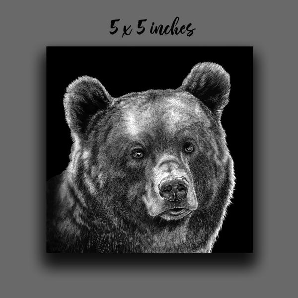 'Brown Bear' Reproduction picture