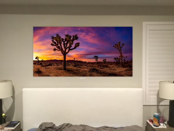 Joshua tree unveiled picture