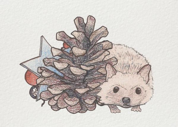 Festive Hedgehog picture