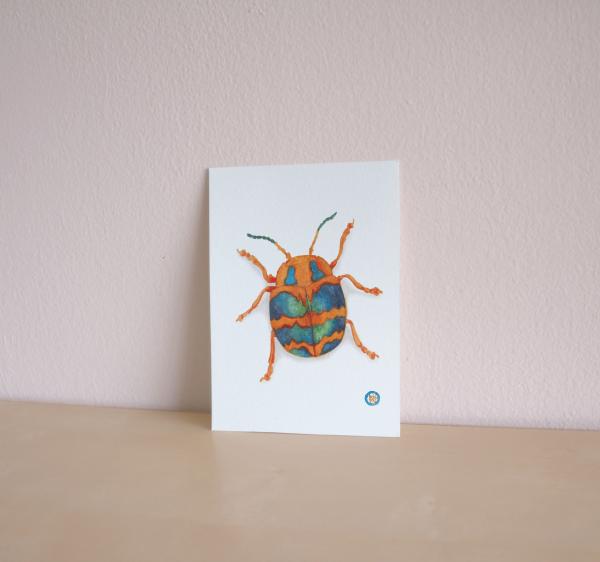 Orange Iridescent Beetle