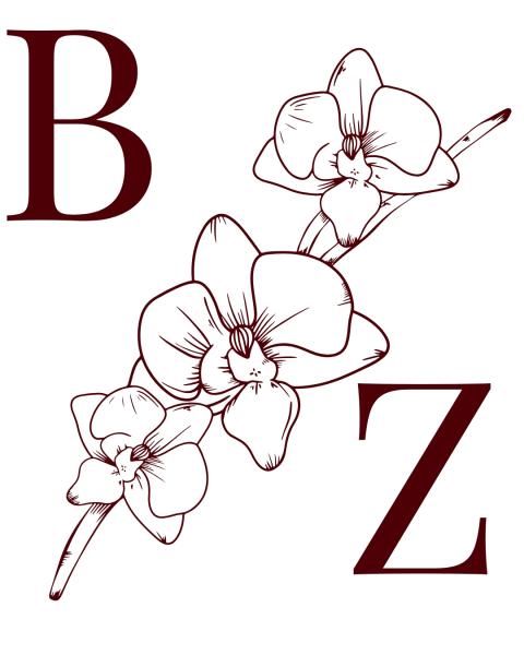BZ FurFur