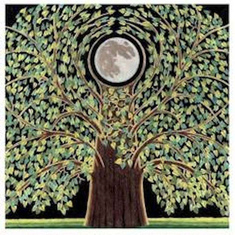 THE FOUR SEASONS  VII picture